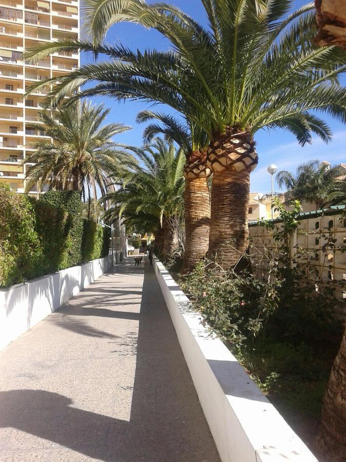Apartamento Puigval Extérieur photo